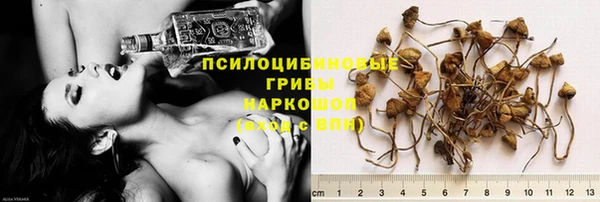 мдпв Нефтегорск