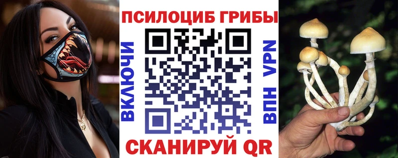 Галлюциногенные грибы Magic Shrooms Моршанск