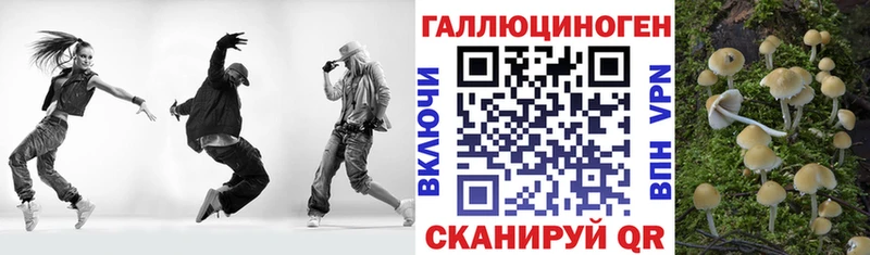 ссылка на мегу tor  Моршанск  площадка как зайти  Псилоцибиновые грибы MAGIC MUSHROOMS 